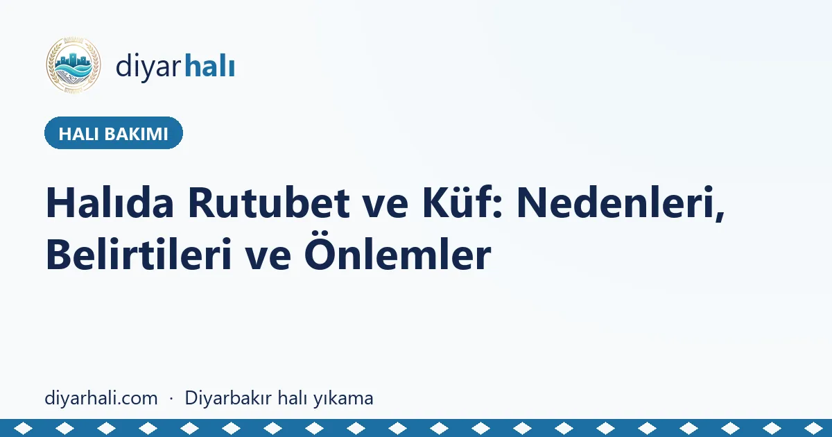 Halıda Rutubet ve Küf: Nedenleri, Belirtileri ve Önlemler