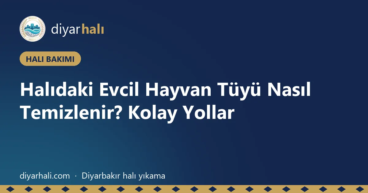 Halıdaki Evcil Hayvan Tüyü Nasıl Temizlenir? Kolay Yollar