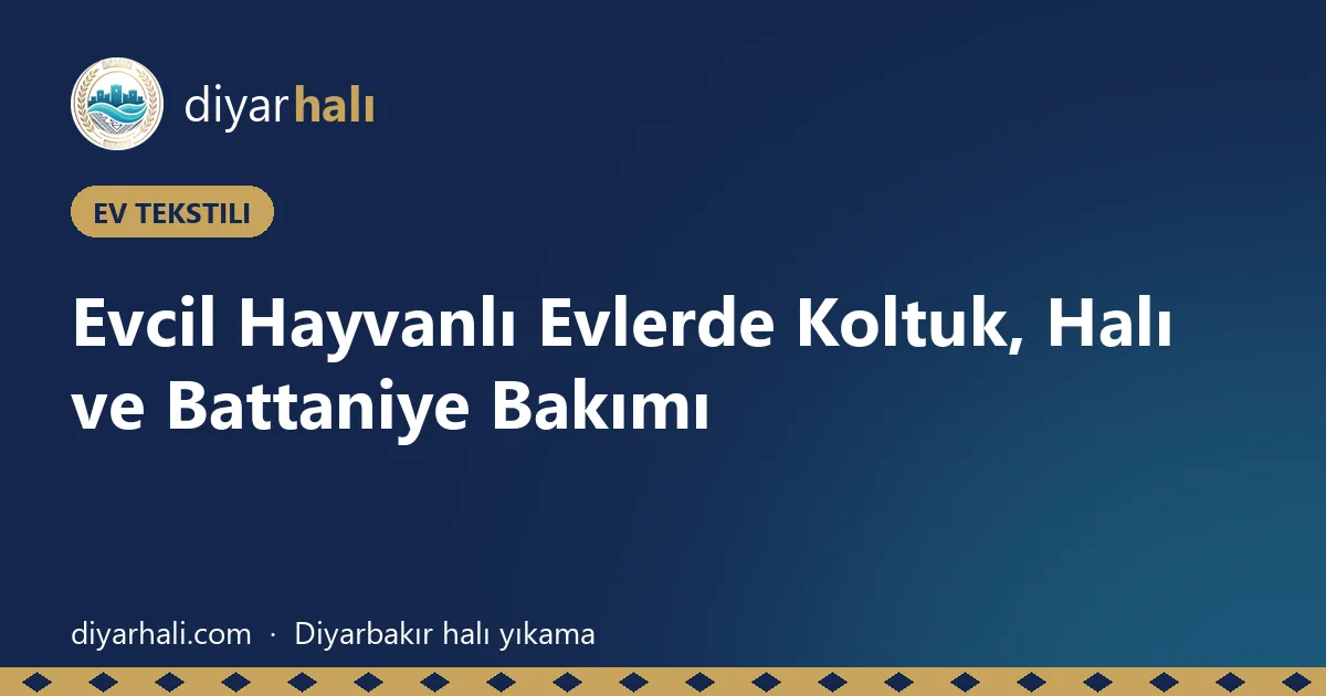 Evcil Hayvanlı Evlerde Koltuk, Halı ve Battaniye Bakımı