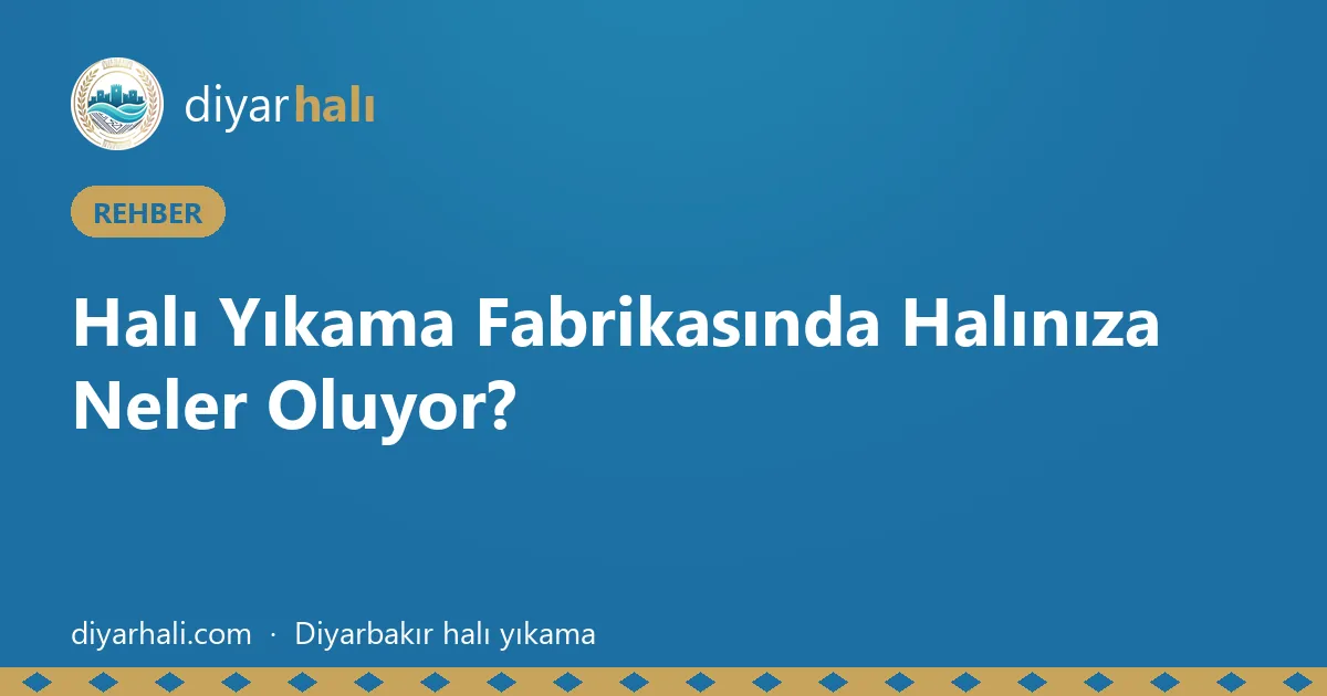 Halı Yıkama Fabrikasında Halınıza Neler Oluyor?