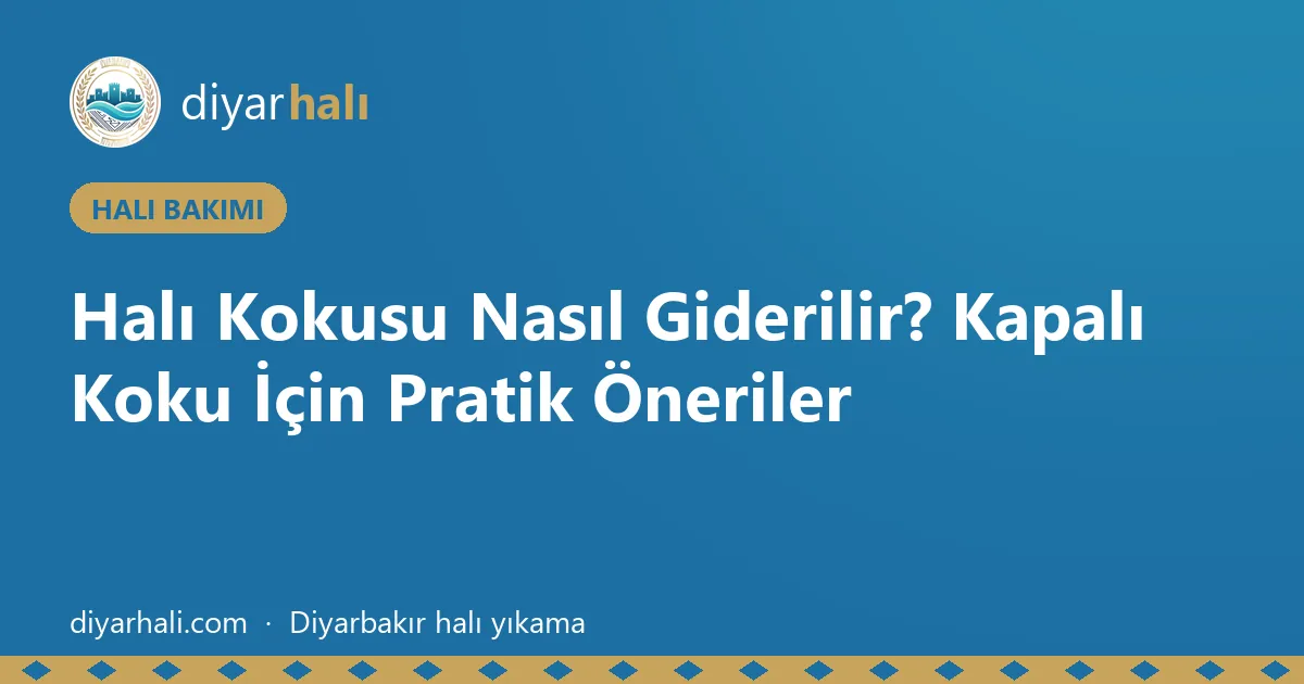 Halı Kokusu Nasıl Giderilir? Kapalı Koku İçin Pratik Öneriler