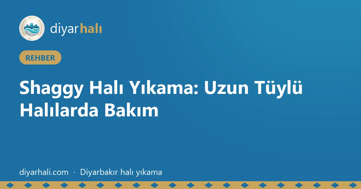 Shaggy Halı Yıkama: Uzun Tüylü Halılarda Bakım